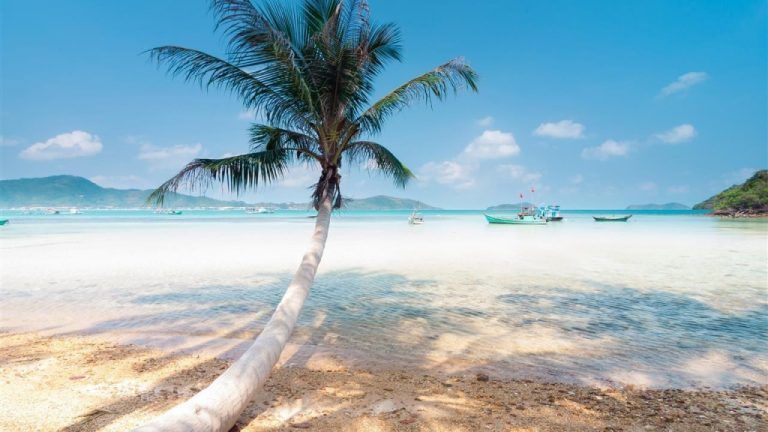 http://dulichbiendao.vn/tour-nam-du-phu-quoc-gia-re.html